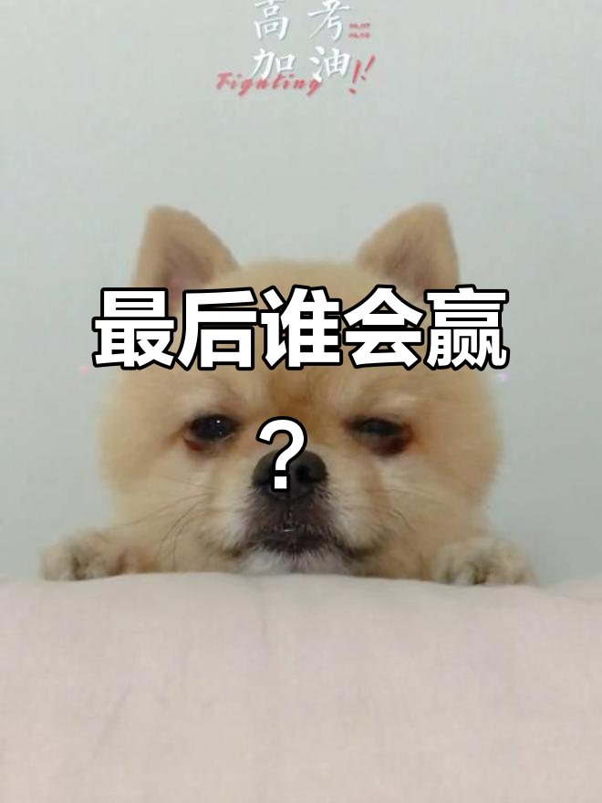 顶级对决即将上演，谁能笑到最后